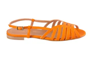 AM POPPY ORANGE