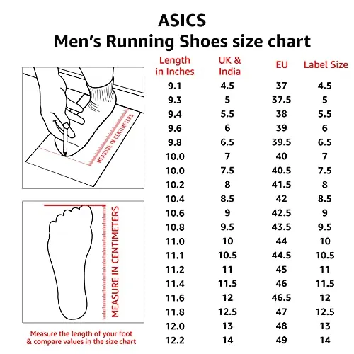 ASICS Men Gel-Moya MX Sheet Rock/Black Running Shoes-11 UK (46.5 EU) (12 US) (1011A595)