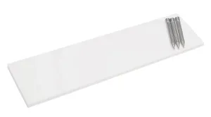 Champion Sports Official Size Pitcher'S Plate