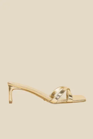 Yahara Heels