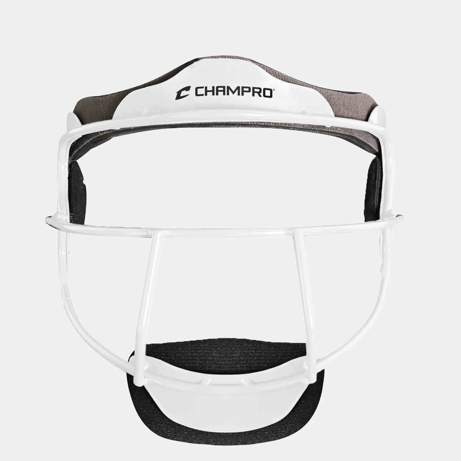 Youth Softball Fielders Mask